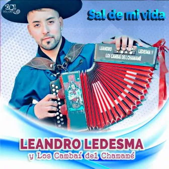 Sal de mi vida by LEANDRO LEDESMA y Los Cambaí del Chamamé