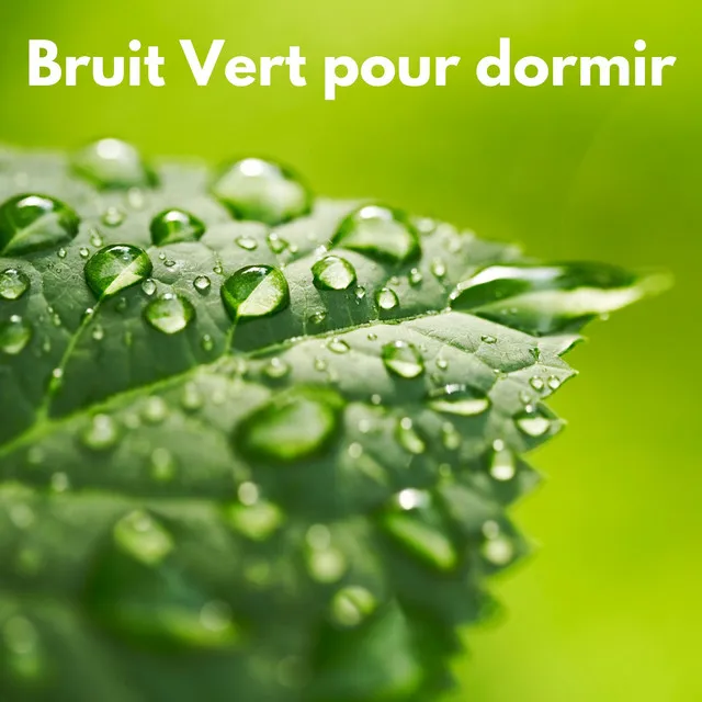 Bruit vert pour dormir (Bouclable)