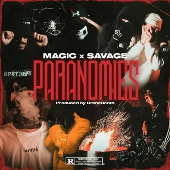 Paranomies by Magic Spark