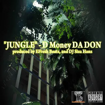 Jungle by Unknown Artist