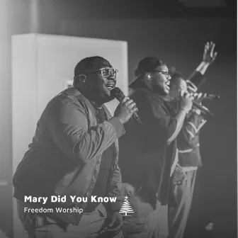 Mary Did You Know by Freedom Worship