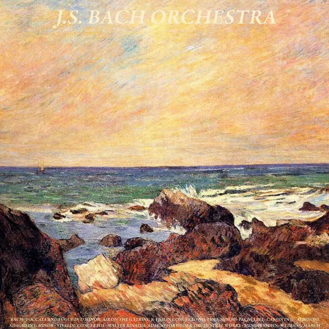 Orchestral Suite in D Major, No. 3, BWV 1068: II. Air