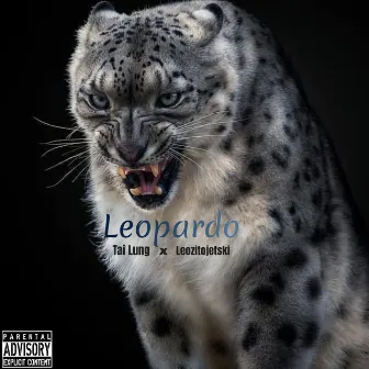 Leopardo by Tai Lung