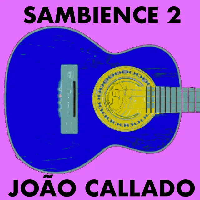 Sambience 2