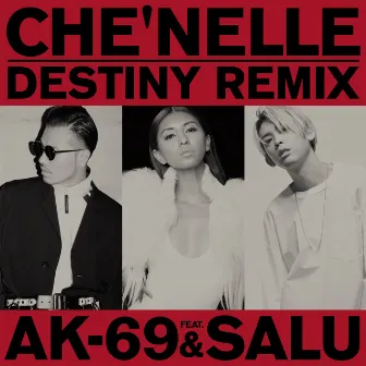 Destiny (Remix) by Che'Nelle