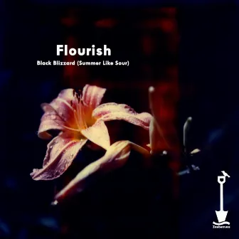 Black Blizzard (Summer Like Sour) by Flourish