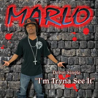 Marlo's World by Marlo