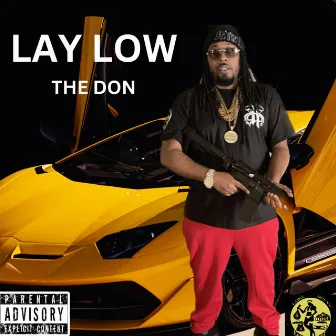 Lay Low by The Don