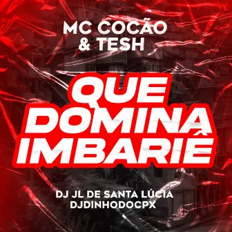 QUE DOMINA IMBARIÊ by Mc Tesh