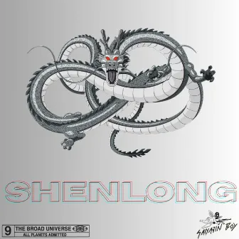 SHENLONG by Saiyajin Boy