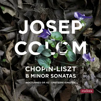 B Minor Sonatas by Josep Colom