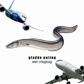 een vliegtuig by gladde paling