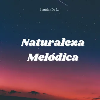 Sonidos De La Naturaleza Melódica by Canal de la Naturaleza sin Interrupción