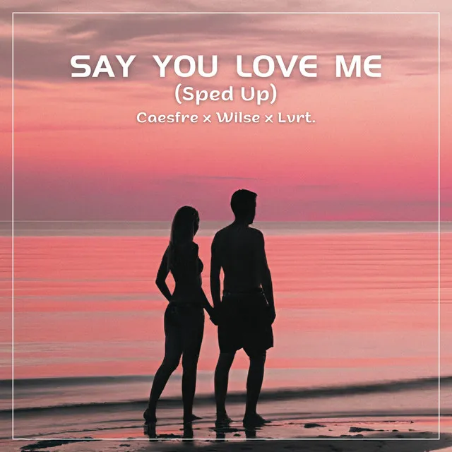 Say You Love Me - Sped Up