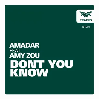 Dont You Know (feat. Amy Zou) by Amadar