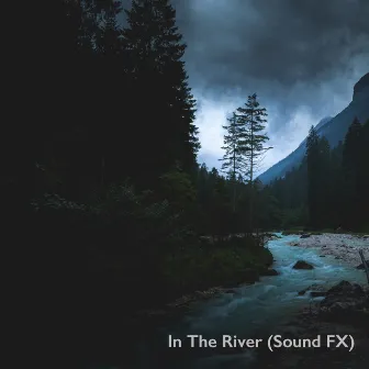 Swedish River Sounds Vol. 2 by In The River (Sound FX)