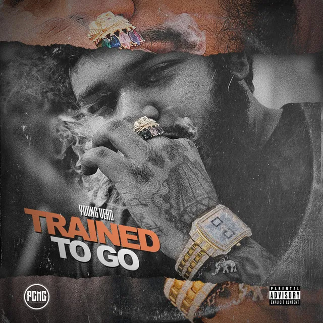 Trained to Go