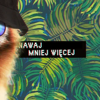 Mniej więcej by Nawaj