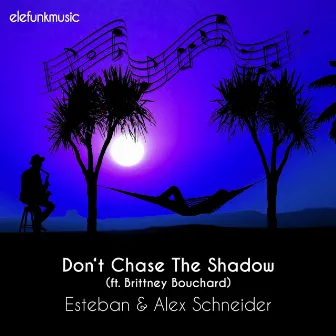 Don't Chase the Shadow by Alex Schneider