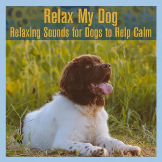 Relax My Dog: Relaxing Sounds for Dogs to Help Calm by Dog Music