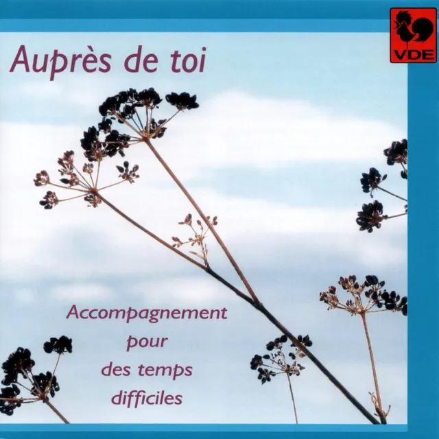 Auprès de toi: Accompagnement pour des temps difficiles