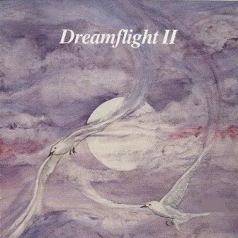 Dreamflight II by Herb Ernst