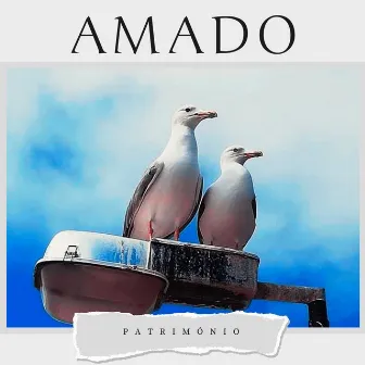 Patrimonio by AMADO