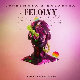 Felony by J3rryMaya