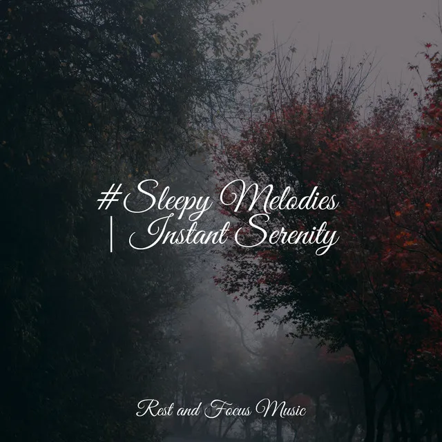 #Sleepy Melodies | Instant Serenity