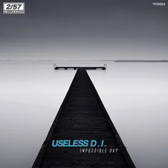 Impossible Day by USELESS D.I.