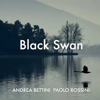 Black Swan by Andrea Bettini