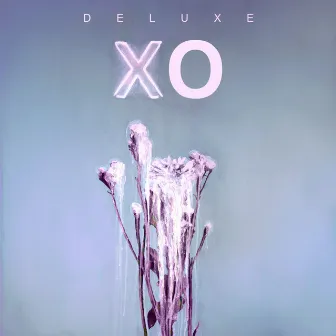 XO (Deluxe) by Laurence Nerbonne