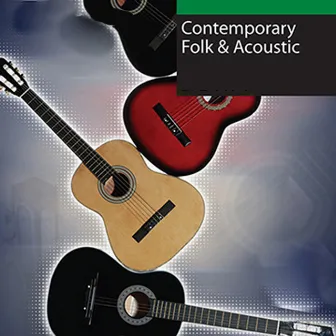 Contemporary Folk & Acoustic by American Patriotic Music Ensemble