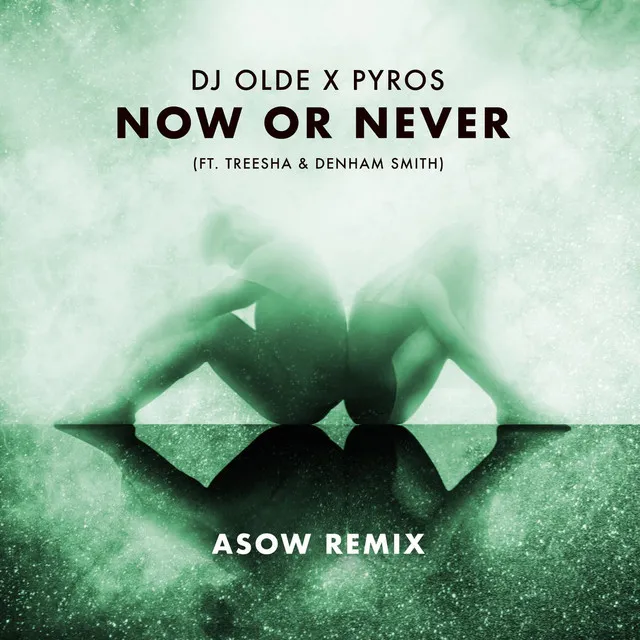 Now or Never [Asow Remix]