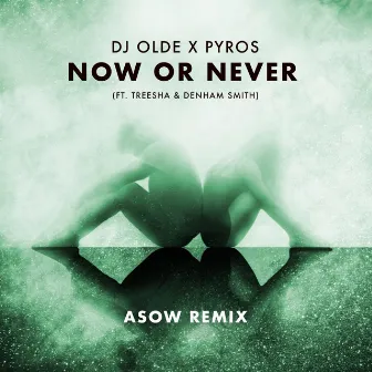 Now or Never [Asow Remix] by DJ Olde