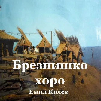 Брезнишко хоро by Емил Колев