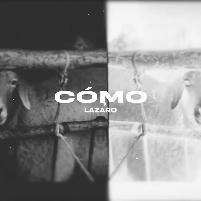 Cómo