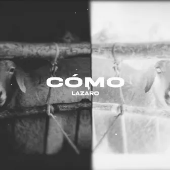 Cómo by Lazaro