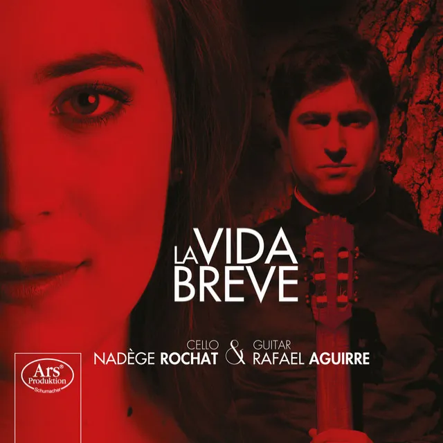 Volver (arr. N. Rochat and R. Aguirre for cello and guitar)