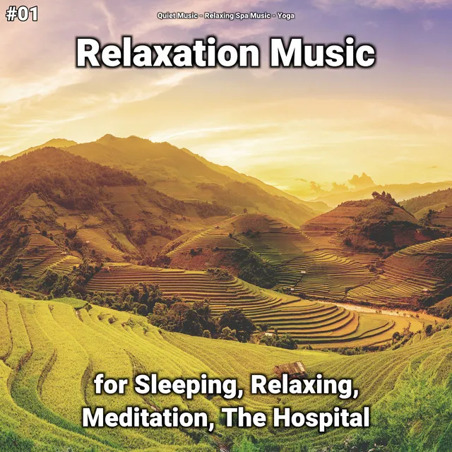 Relaxation Music, Pt. 40