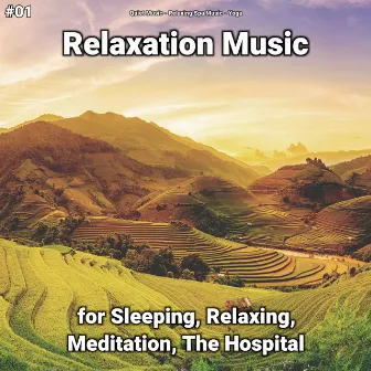 #01 Relaxation Music for Sleeping, Relaxing, Meditation, The Hospital by Quiet Music