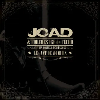 Le gant de velours (feat. L'Orchestre de l'Echo) by Joad