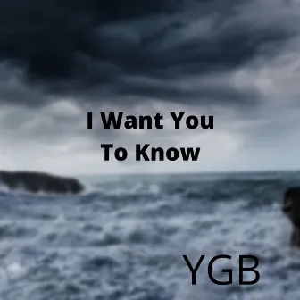 I Want You To Know by YGB