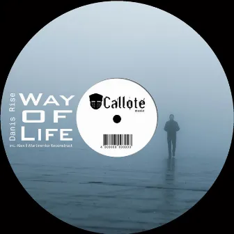 Way of Life by Danis Rise