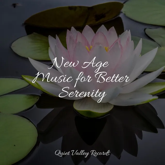 Music for Meditation and Relaxation