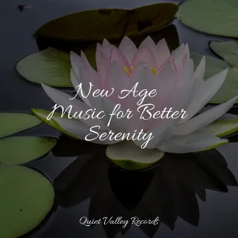 New Age Music for Better Serenity by Rain Sounds For Sleep