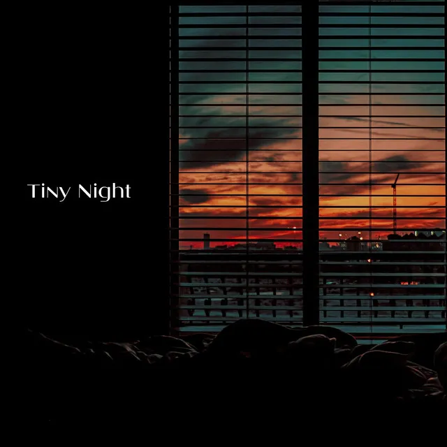 Tiny night (feat. BIOTOP)