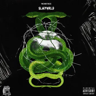 Slmywrld by Yng Mattre$$