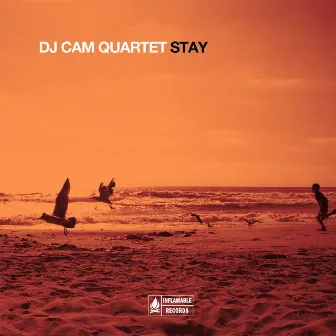 Stay by DJ Cam Quartet