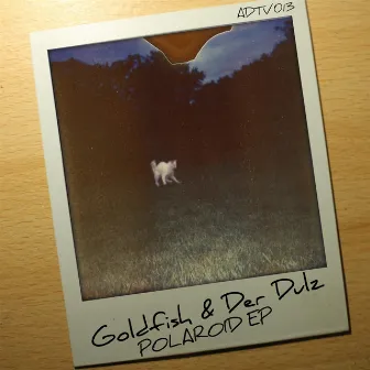 Polaroid by Goldfish & der Dulz